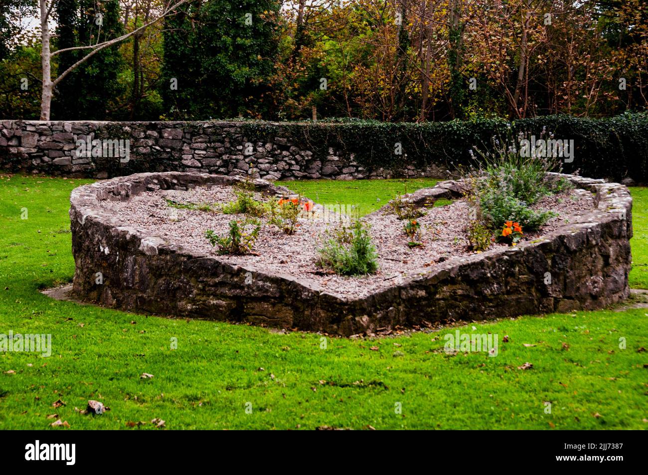 Giardino di pietra a Kinvara, Irlanda. Foto Stock