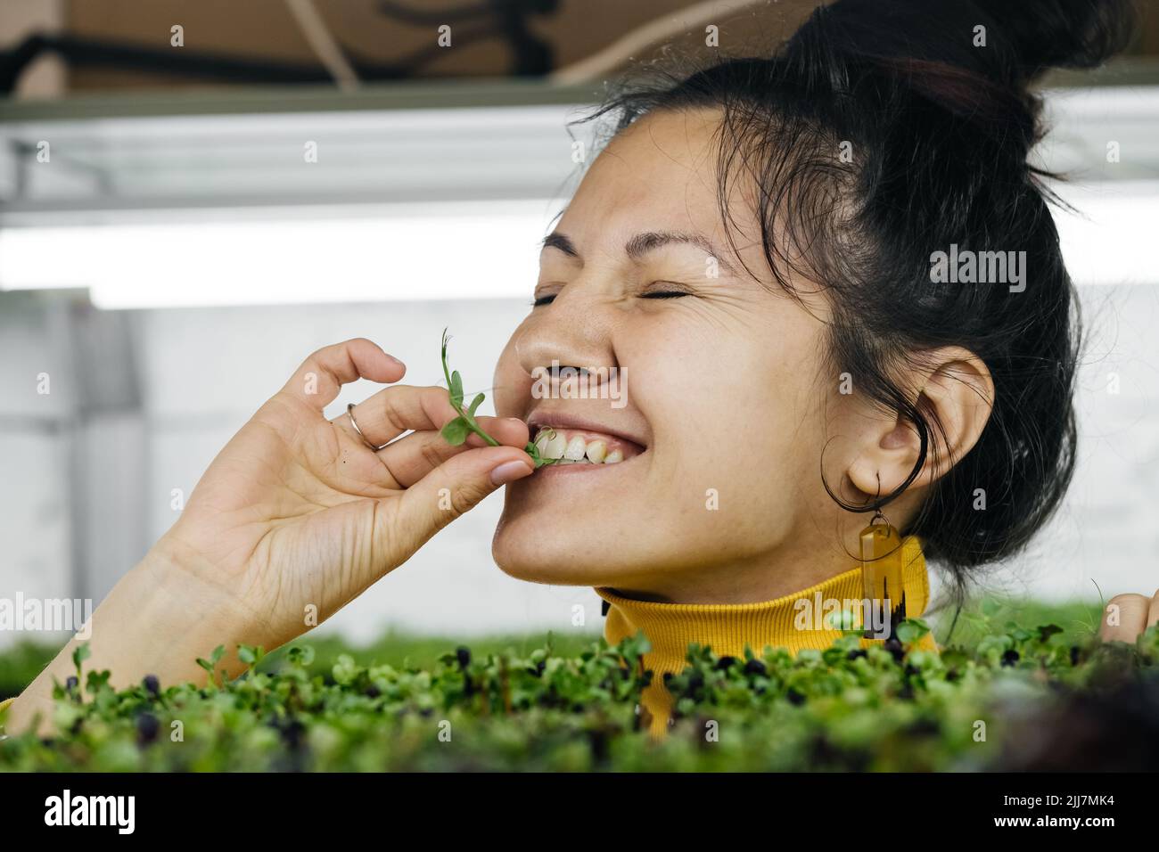 Giovane donna agricoltore coltivando microgreens su giardino verticale urbano interno. Felice persona che si cura di piante su rifugi di fattoria. Ritratto in primo piano di Foto Stock