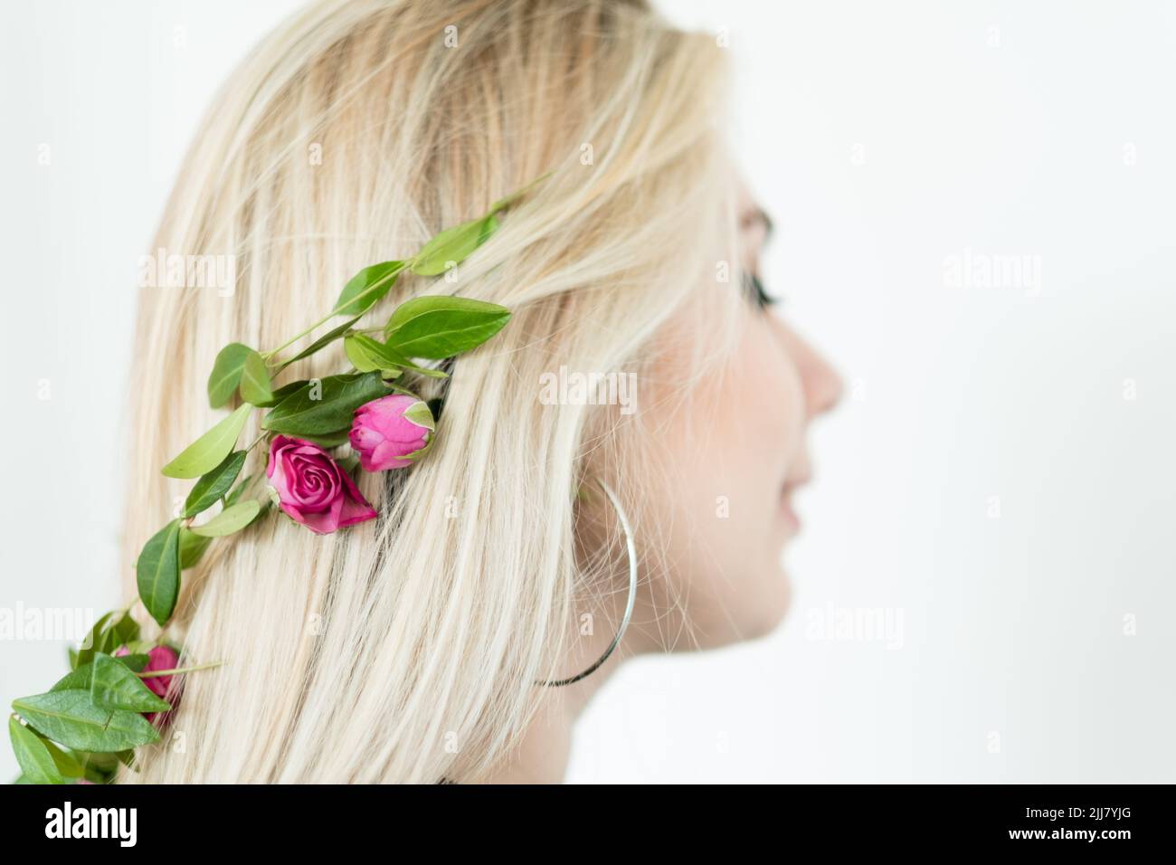 natura rimedio popolare ricetta di shampoo biologico fatta in casa Foto Stock