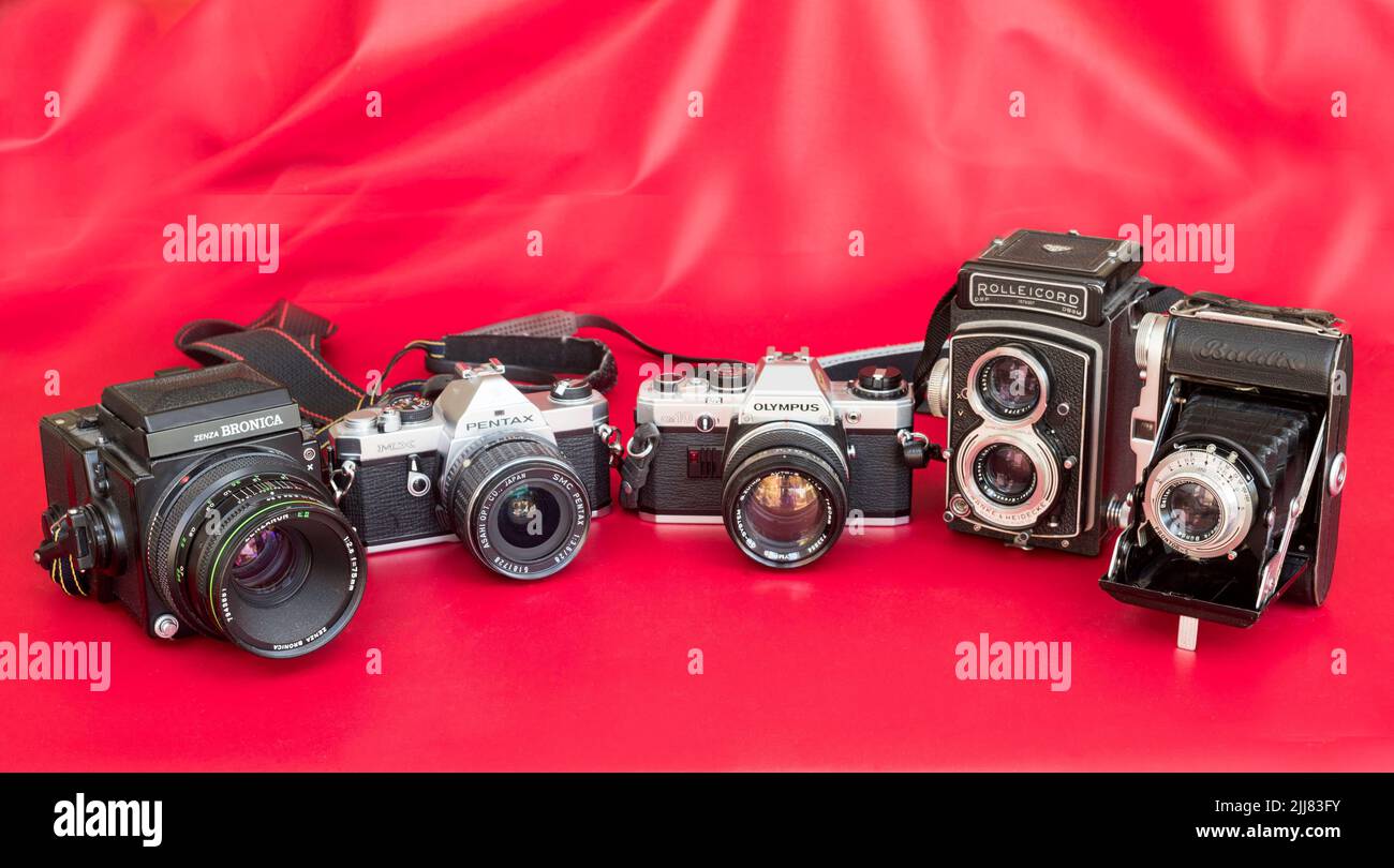 Una collezione di vecchie telecamere, Bronica, Pentax, Olympus, Rolleicord, E Balda su sfondo rosso Foto Stock