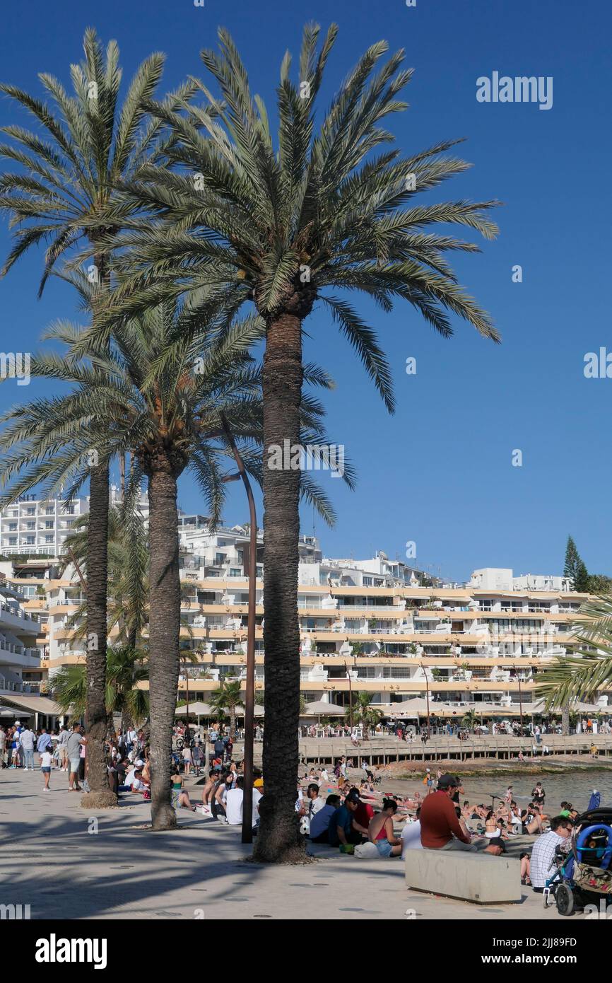 Platja de ses Figueretes, Strand, Eivissa, Ibiza, Pityusen, Balearen, Insel, Spanien, Europa |Platja de ses Figueretes, spiaggia, Eivissa, Ibiza, Pityuse Foto Stock