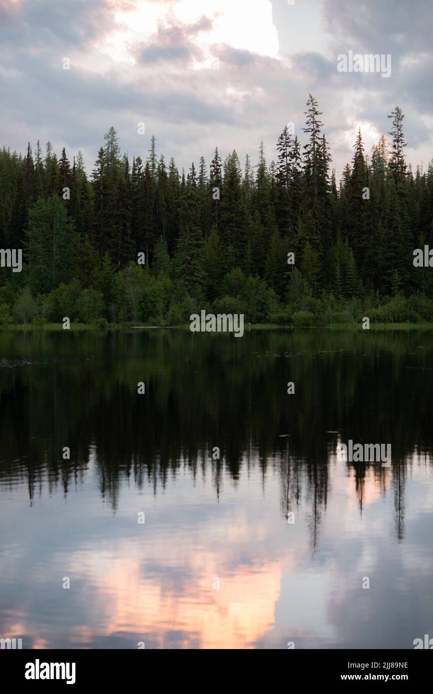 Alberi riflessi in Lake background con spazio per il testo Foto Stock