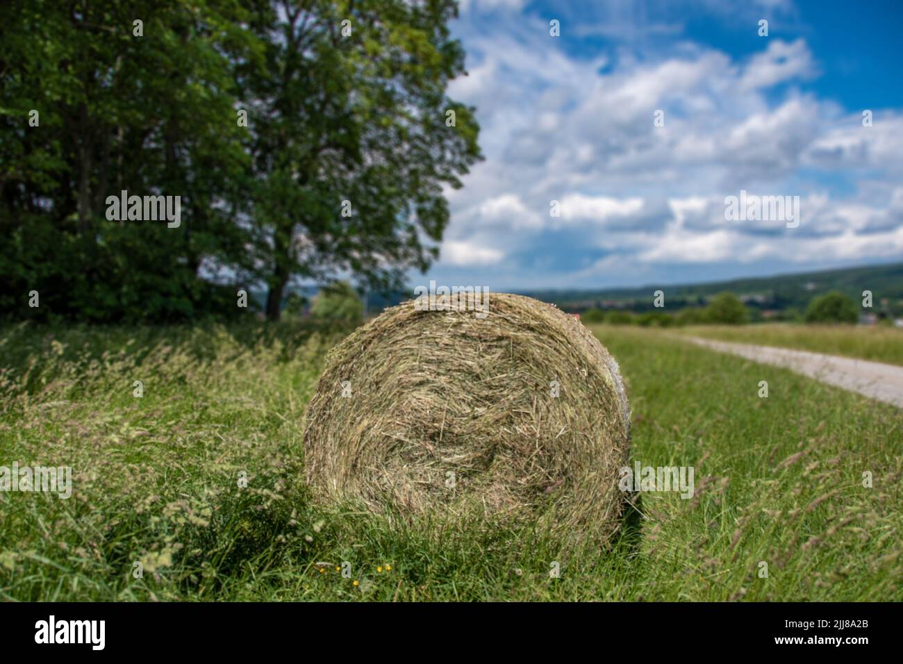 Die Landschaft um Herzberg am Harz. Viel landwirtschaftliche Nutzfelder und immer wieder Wald und Bäume säumen hier die Wegesränder Foto Stock