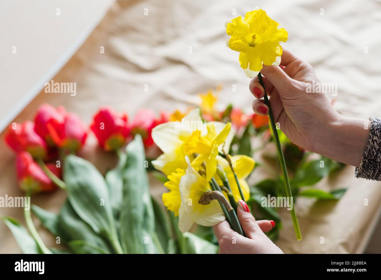 assortimento di narcischi gialli, bouquet di fiori primaverili Foto Stock