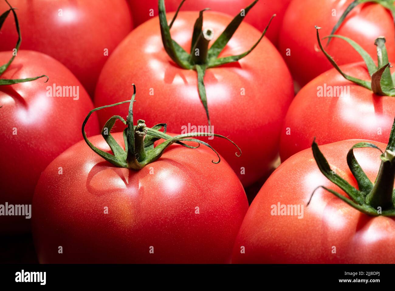 Pomodori maturi isolati. Verdure rosse in primo piano. Pomodori maturi dall'aspetto gustoso con gambi verdi. Foto Stock