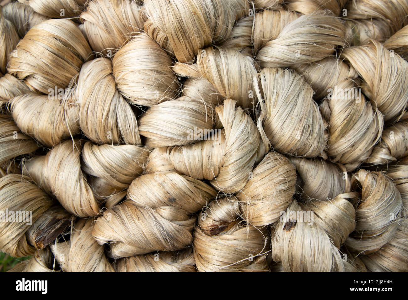 Spesso bruno fascio di fibra di iuta grezza trama sfondo Foto Stock