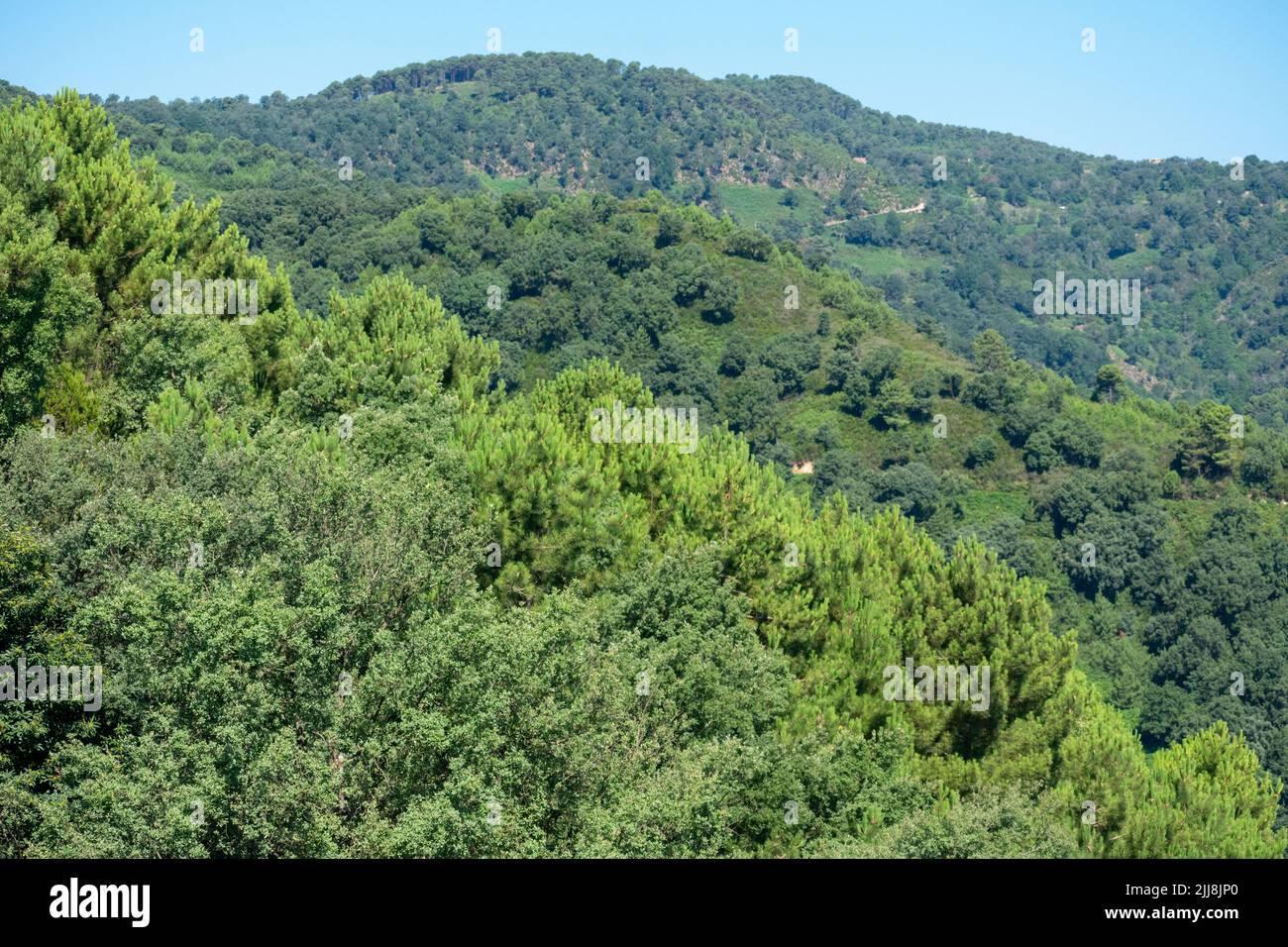 Vista panoramica delle montagne, del Mar Mediterraneo e delle fitte foreste da Skikda, Algeria Foto Stock