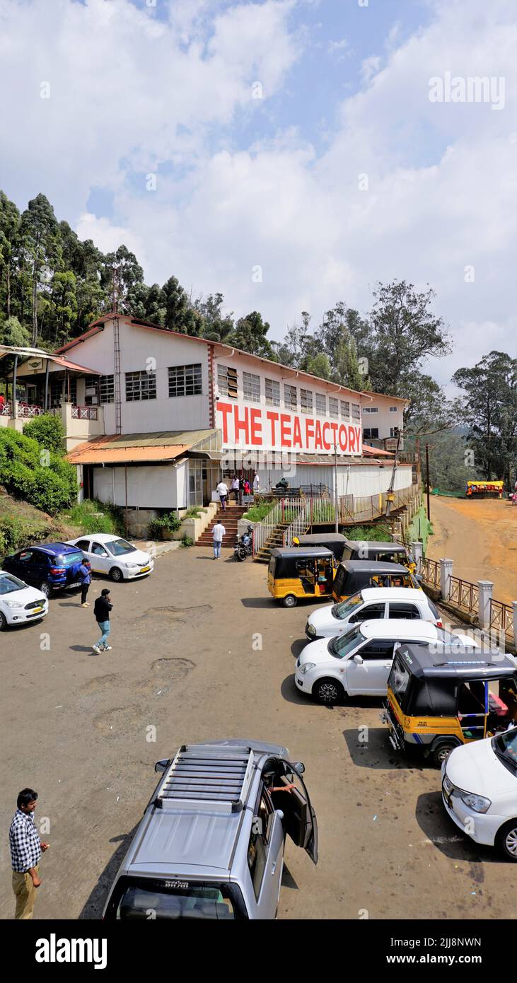 Ooty,Tamilnadu,India-Aprile 30 2022: LA FABBRICA DEL TÈ. È necessario visitare il luogo in ooty, dove i turisti sono autorizzati a vedere la lavorazione delle foglie di tè fino a p finito Foto Stock