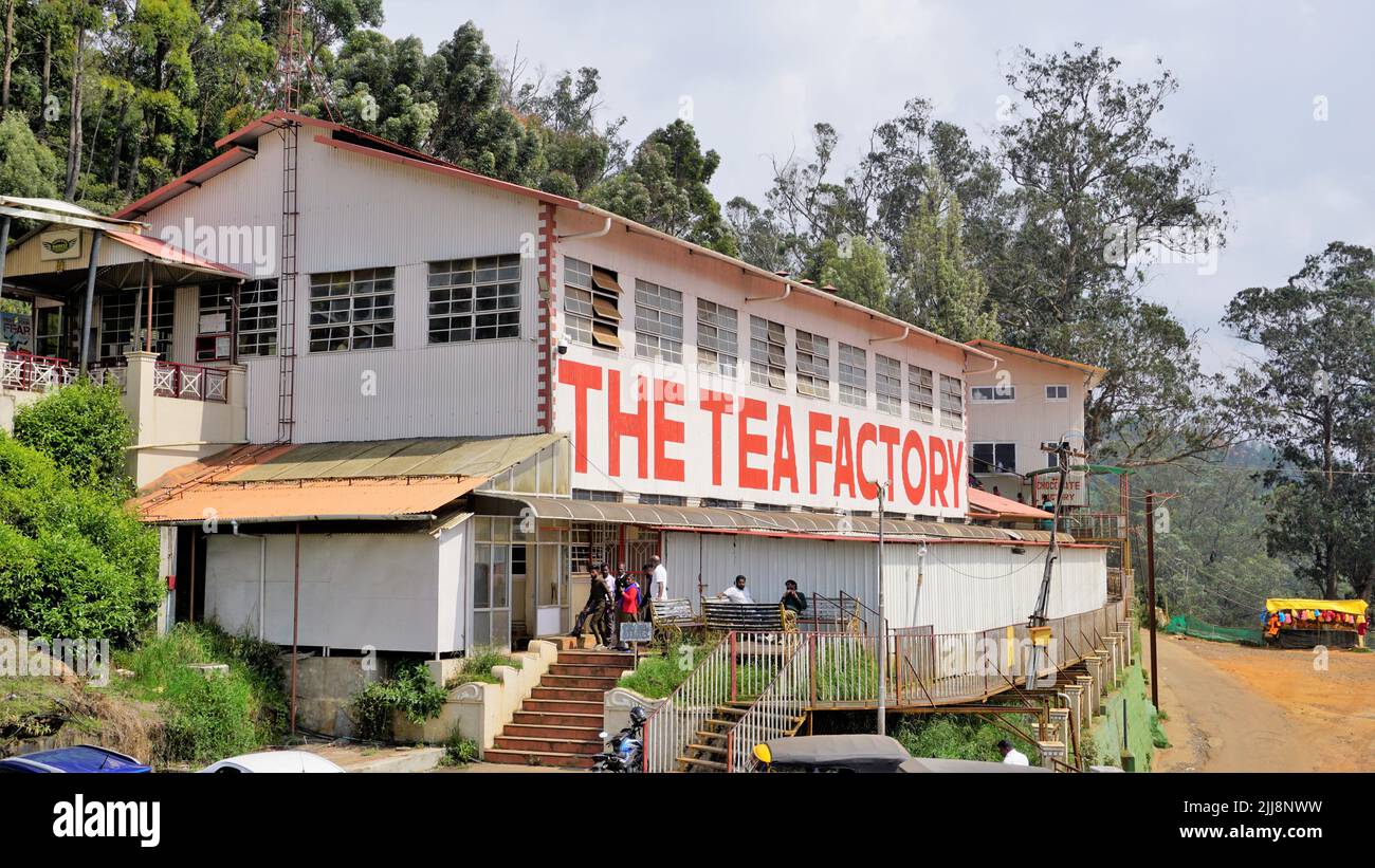 Ooty,Tamilnadu,India-Aprile 30 2022: LA FABBRICA DEL TÈ. È necessario visitare il luogo in ooty, dove i turisti sono autorizzati a vedere la lavorazione delle foglie di tè fino a p finito Foto Stock