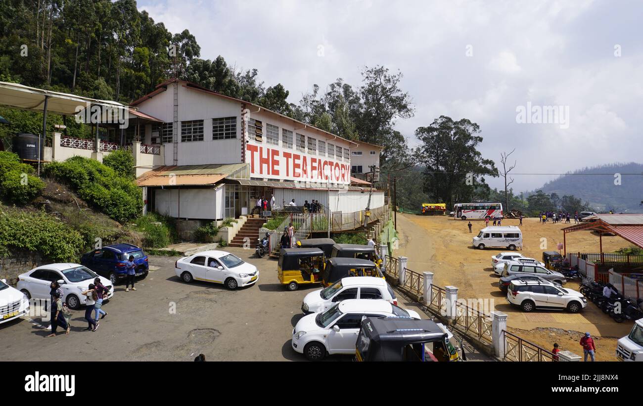 Ooty,Tamilnadu,India-Aprile 30 2022: LA FABBRICA DEL TÈ. È necessario visitare il luogo in ooty, dove i turisti sono autorizzati a vedere la lavorazione delle foglie di tè fino a p finito Foto Stock