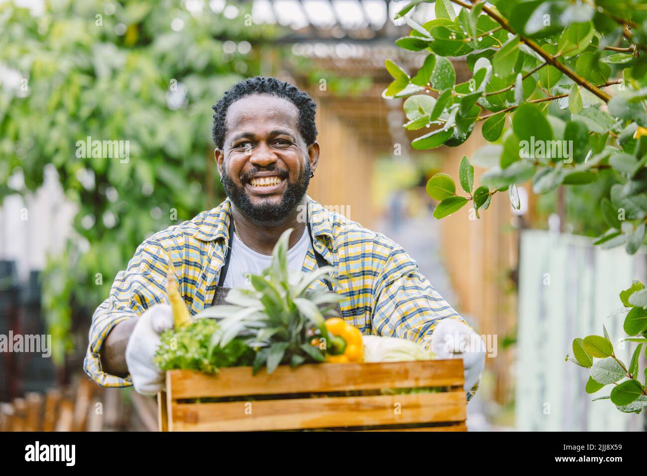 felice agricoltore mostrando casa agricola coltivare vegetali e frutta dalla sua fattoria godere pianta che lavora sorridendo. Foto Stock