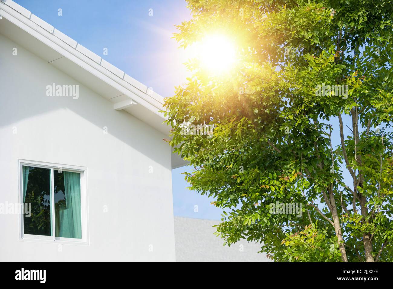 l'albero aiutare a casa raffreddamento e proteggere il calore dal sole luce. eco verde casa villaggio concetto Foto Stock