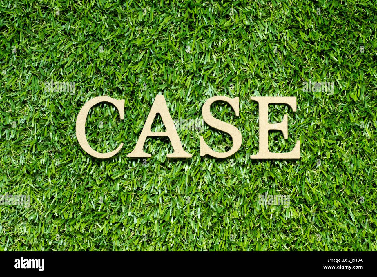 Lettera dell'alfabeto di legno in maiuscolo su sfondo verde dell'erba Foto Stock