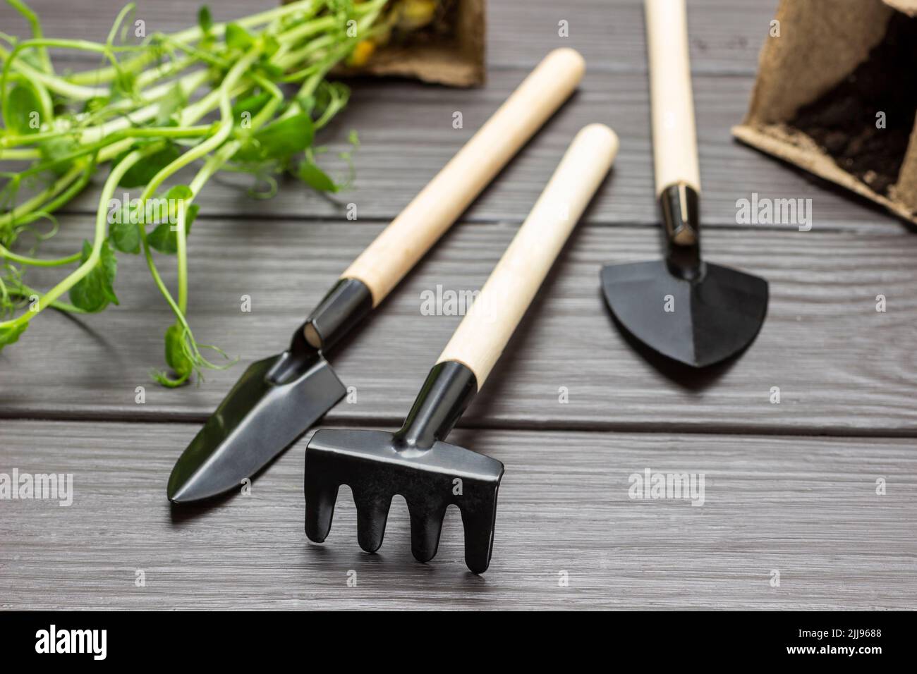 Pala da giardino in un sacchetto di carta con terreno. Rastrello, pala e  pentole di torba. Vista dall'alto. Sfondo di legno scuro Foto stock - Alamy