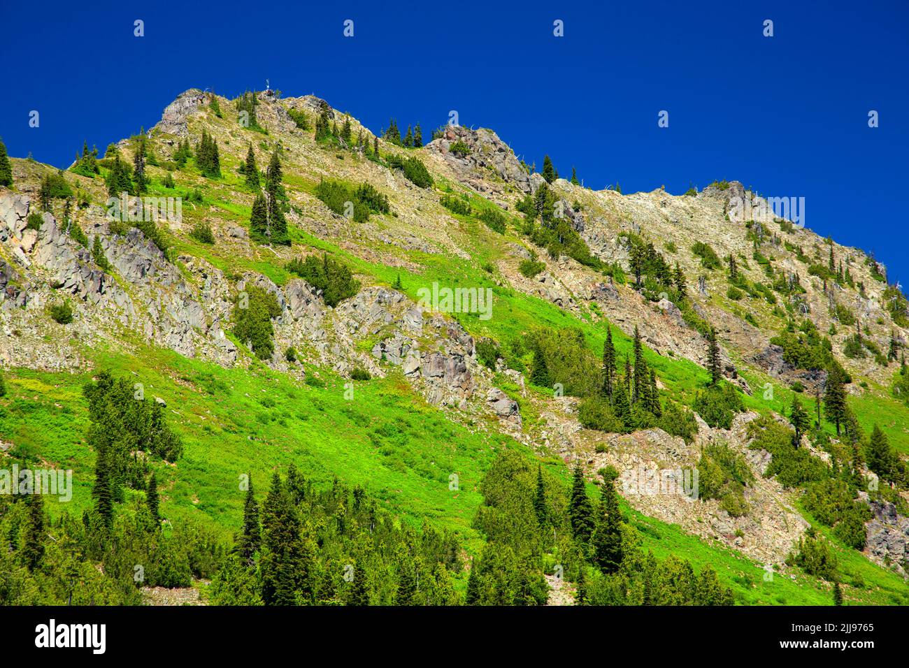 Da Chinook Pass Overlook a Deadwood Peak, Mather Memorial Parkway, Wenatchee National Forest, Washington Foto Stock
