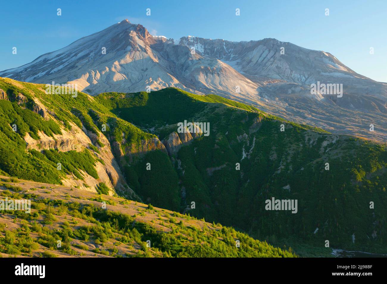 Mt St Helens da Windy Ridge, Mt St Helens National Volcanic Monument, Washington Foto Stock