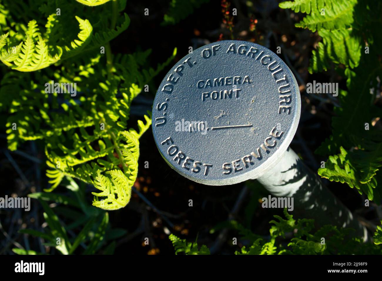 Punto di osservazione della telecamera, contrassegno USGS al Pass Norvegia, Monumento vulcanico Nazionale del Monte St Helens, Washington Foto Stock