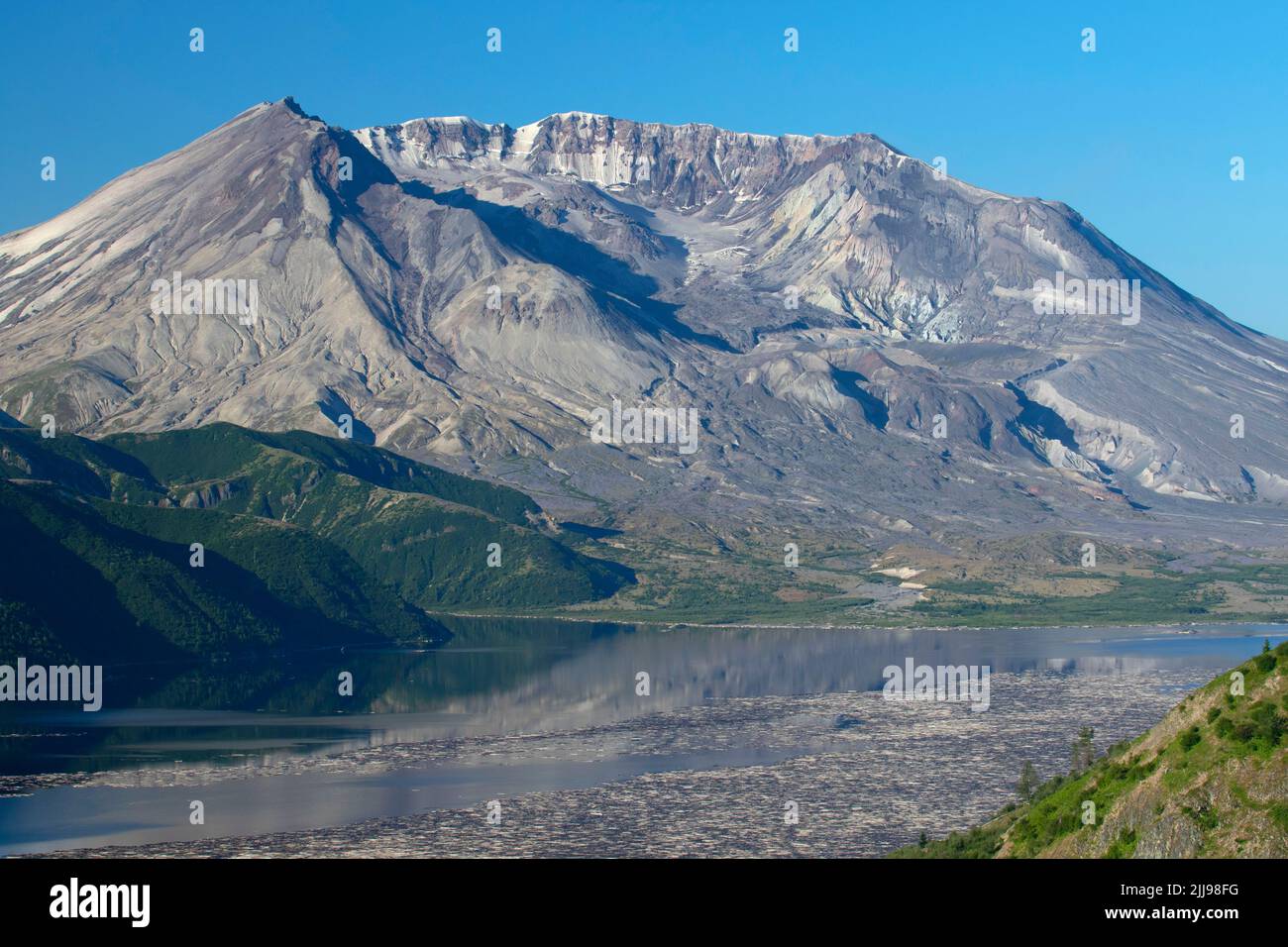 Monte St Helens da Norway Pass, Monumento vulcanico Nazionale di Mt St Helens, Washington Foto Stock