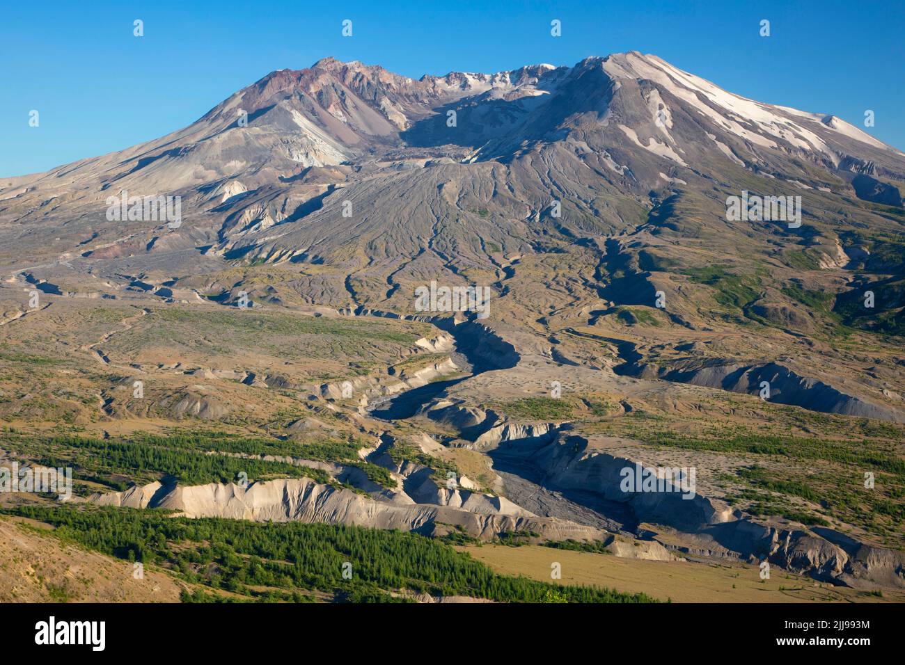 Mt St Helens da Johnston Ridge, Mt St Helens National Volcanic Monument, Washington Foto Stock