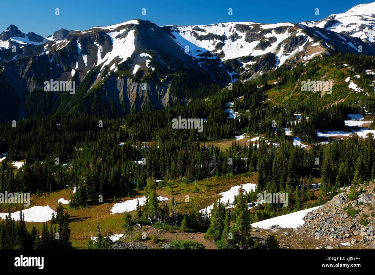 Goat Island Mountain da Sourdough Ridge Trail, Mt Rainier National Park, Washington Foto Stock