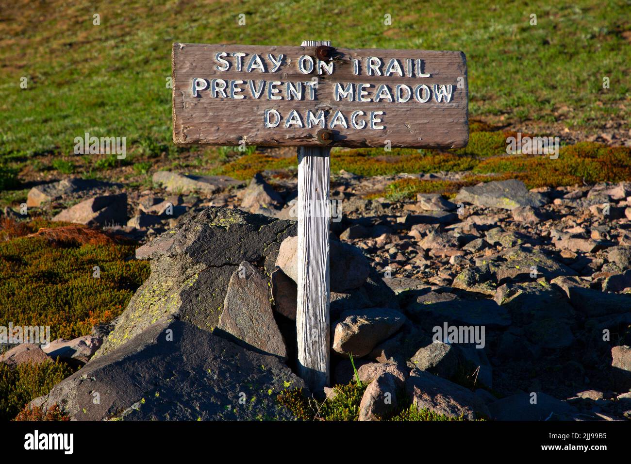 Cartello sul prato lungo il Wonderland Trail, Mt Rainier National Park, Washington Foto Stock