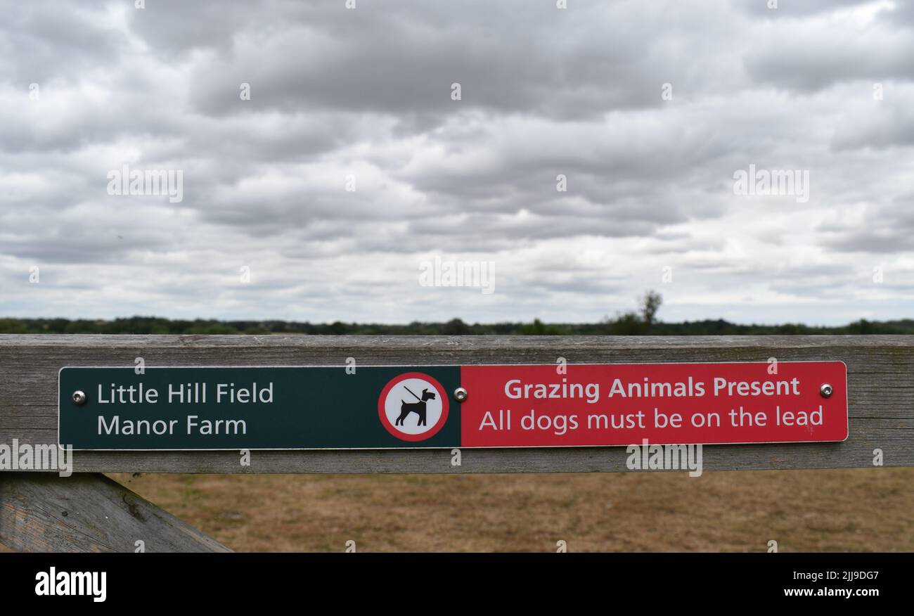 Segno su un cancello di fattoria: 'Pascolo animali presenti. Tutti i cani devono essere in testa', con copyspace. Foto Stock