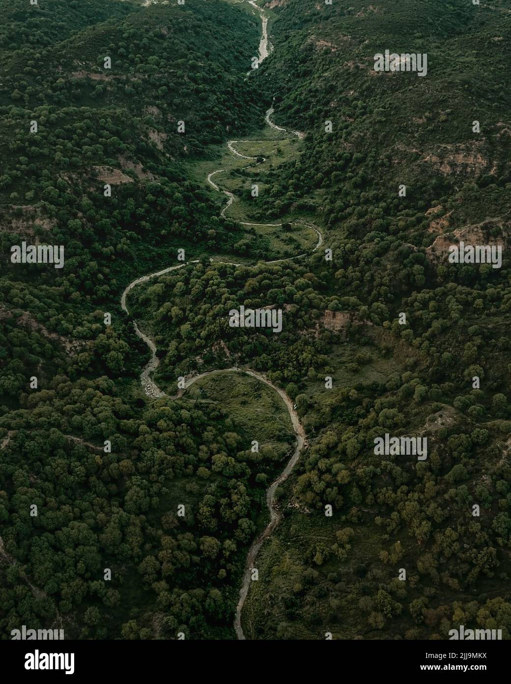 Una vista aerea della serpentina di montagna circondata da una rigogliosa natura verde Foto Stock
