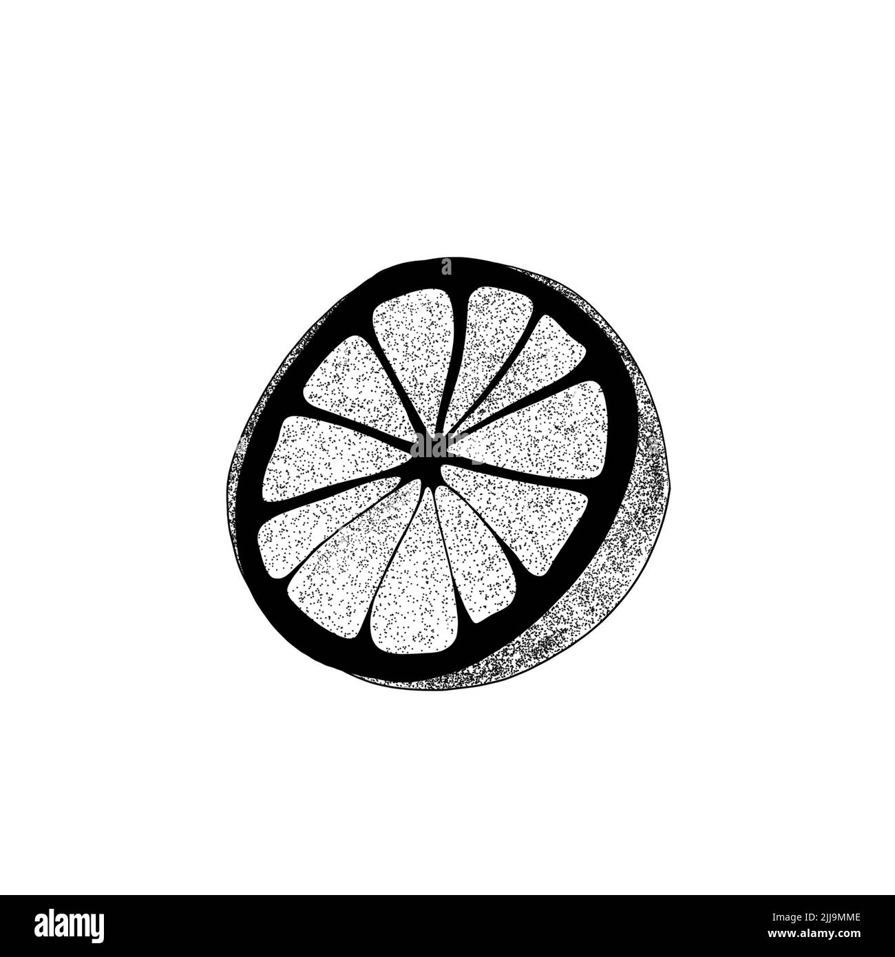 Set di limoni disegnati a mano con foglie: Spicchi di limone, mezzo limone. Illustrazione della fetta organica di agrumi su sfondo bianco. Per il tuo web design. Foto Stock