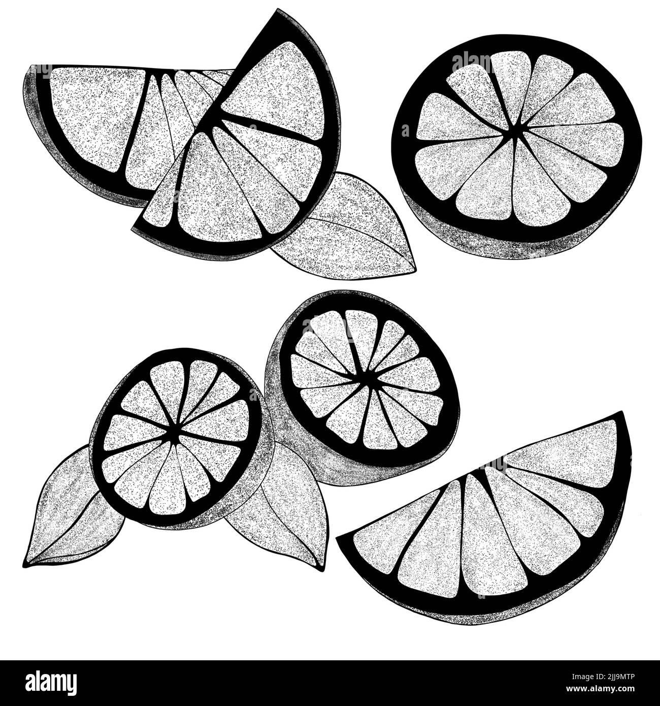 Set di limoni disegnati a mano con foglie: Spicchi di limone, mezzo limone. Illustrazione della fetta organica di agrumi su sfondo bianco. Per il tuo web design. Foto Stock