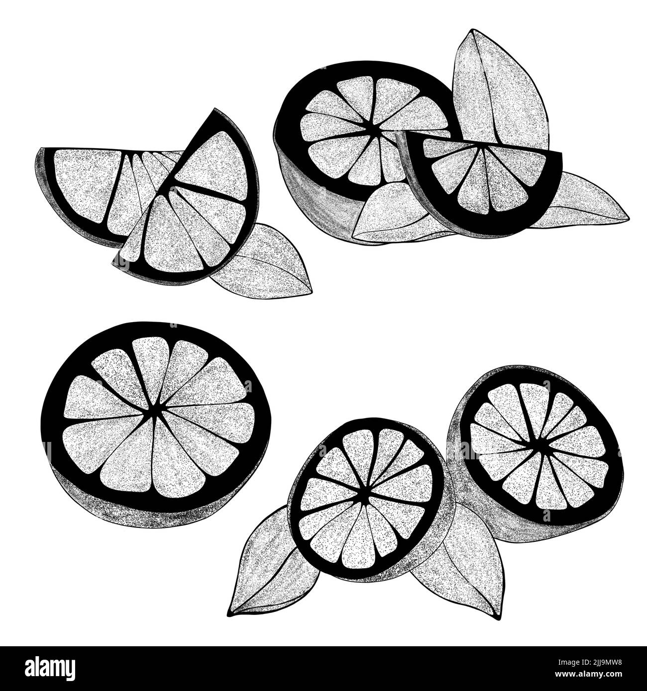 Set di limoni disegnati a mano con foglie: Spicchi di limone, mezzo limone. Illustrazione della fetta organica di agrumi su sfondo bianco. Per il tuo web design. Foto Stock