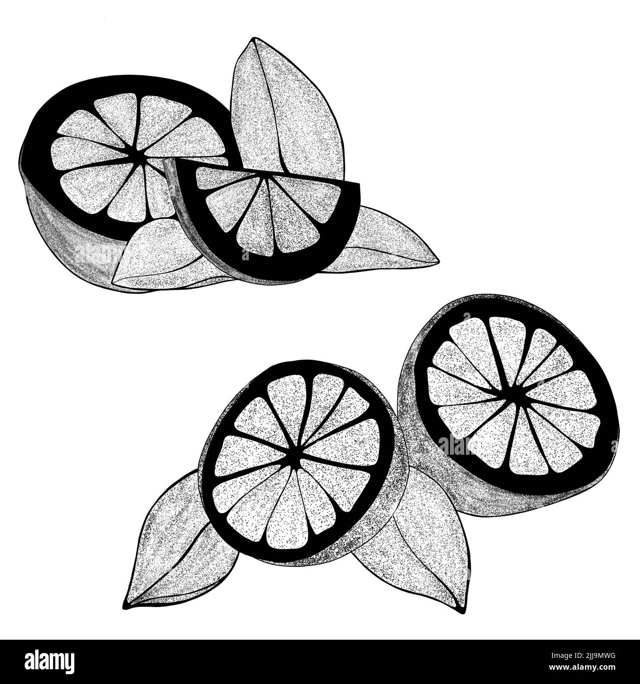 Set di limoni disegnati a mano con foglie: Spicchi di limone, mezzo limone. Illustrazione della fetta organica di agrumi su sfondo bianco. Per il tuo web design. Foto Stock