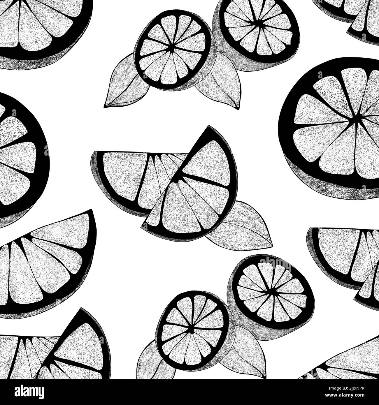 limoni modello. Illustrazione della fetta organica di agrumi su sfondo bianco. Per il tuo web design. Foto Stock