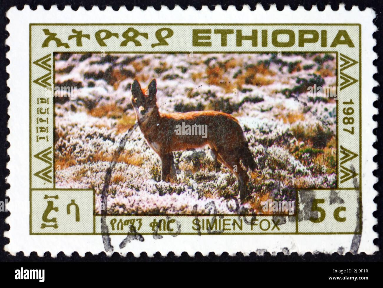 ETIOPIA - CIRCA 1987: Un francobollo stampato in Etiopia mostra Simien fox, canis simiensis, è un canino originario delle Highlands etiopiche, circa 1987 Foto Stock
