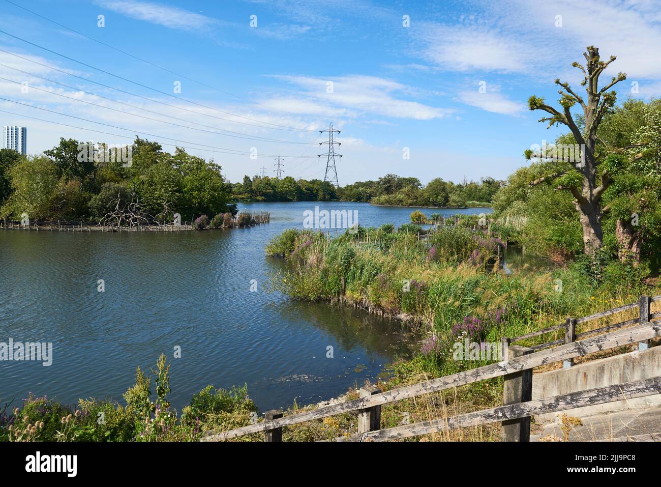 Reservoir sulle Walthamstow Wetlands in estate, a nord di Londra, nel sud-est dell'Inghilterra Foto Stock