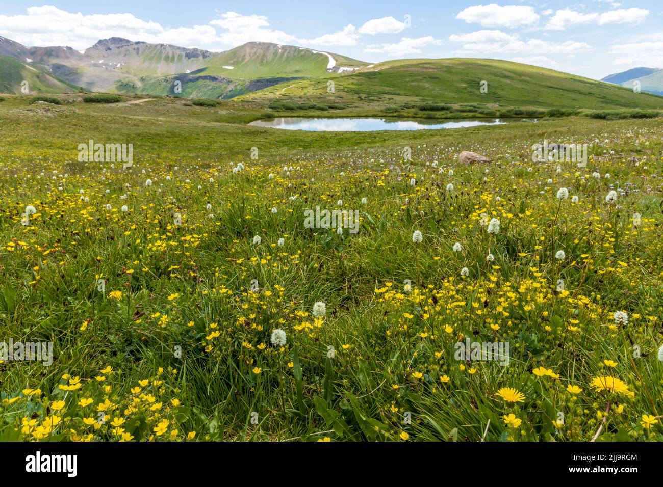 Independence Pass vicino Denver in Rocky Mountains, Colorado Foto Stock