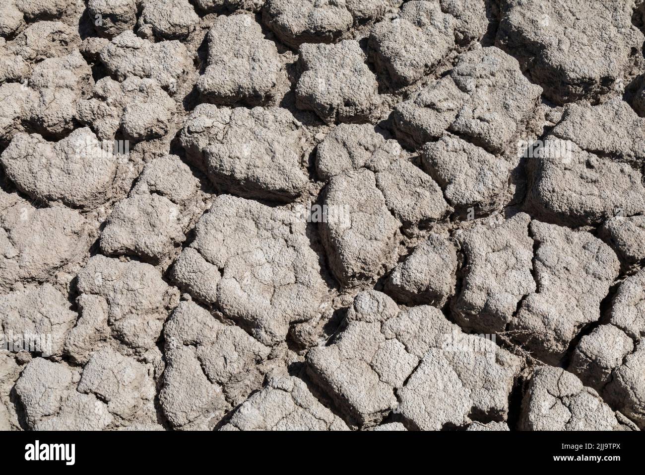 Salt Lake City, Utah - il fango secco è tutto ciò che rimane nel porticciolo dell'Antelope Island state Park. Il livello dell'acqua del lago è sceso a un livello storico basso. Foto Stock
