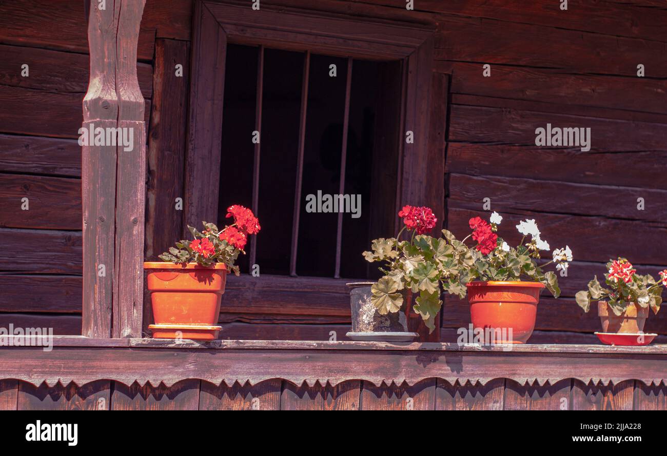 Gerani in pentole linea davanzale di vecchia casa storica rumena nel parco museo a Bucarest. Foto Stock