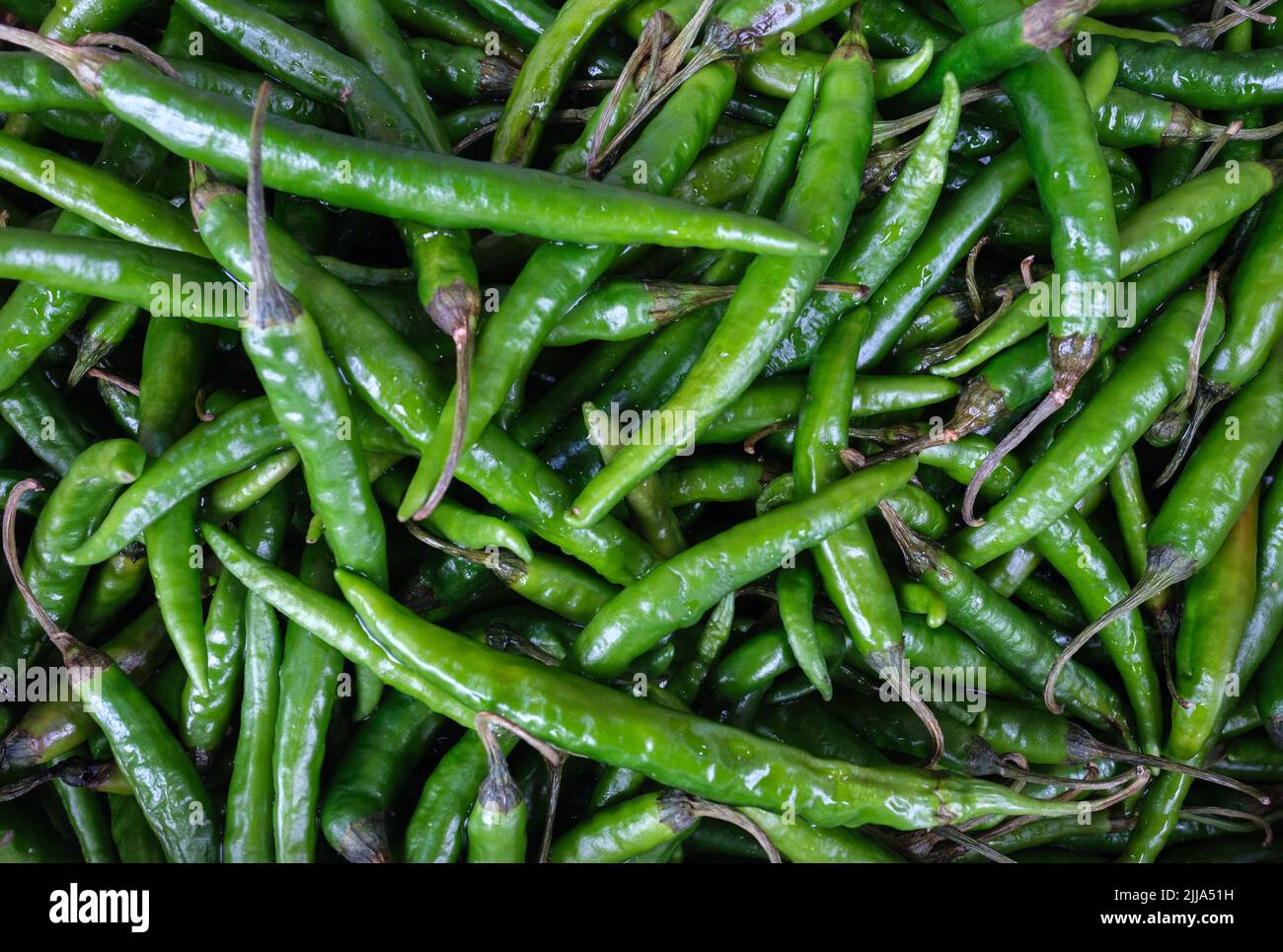 Background Texture of Green Chili (Chili) Peppers in Un mercato Foto Stock