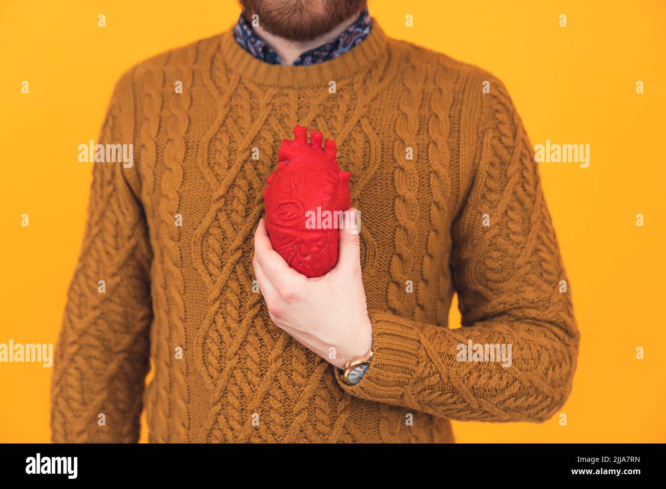 3D il modello del cuore umano sta comportandosi tenuto da un uomo che indossa il maglione arancione vicino al suo petto - problemi di salute e prevenzione . Foto di alta qualità Foto Stock