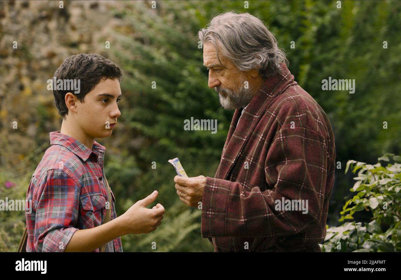 JOHN D'LEO, Robert De Niro, la famiglia, 2013 Foto Stock