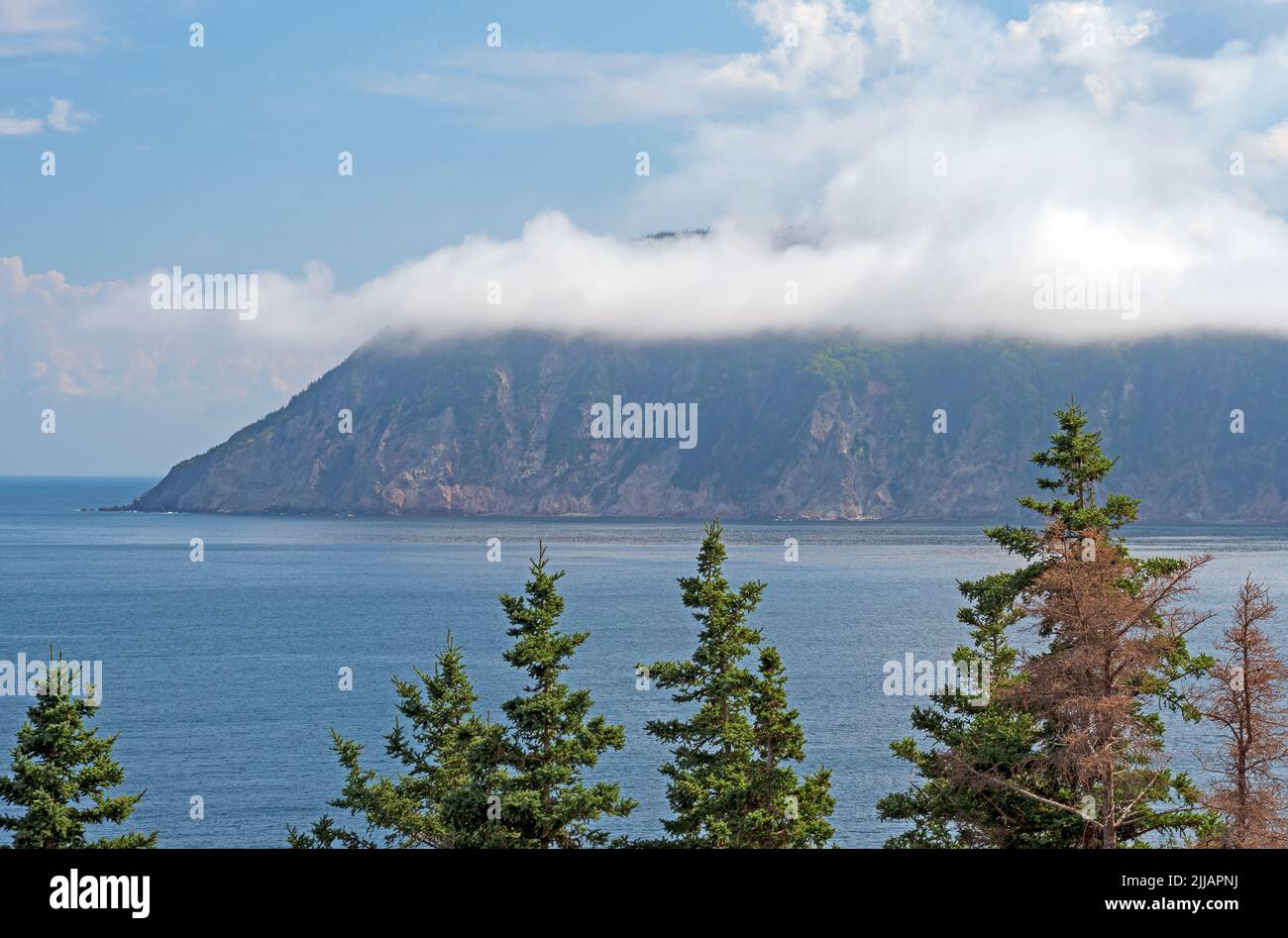 Nuvole oceaniche che si muovono su una testa costiera nel Parco Nazionale di Cape Breton Highlands in Nuova Scozia Foto Stock