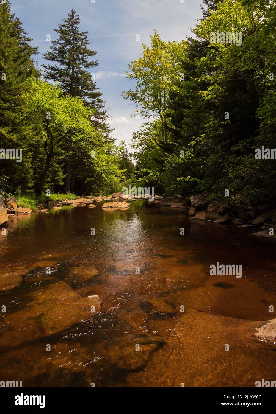 Fiume Redish a Dolly Sods, Monongahela National Forest Foto Stock