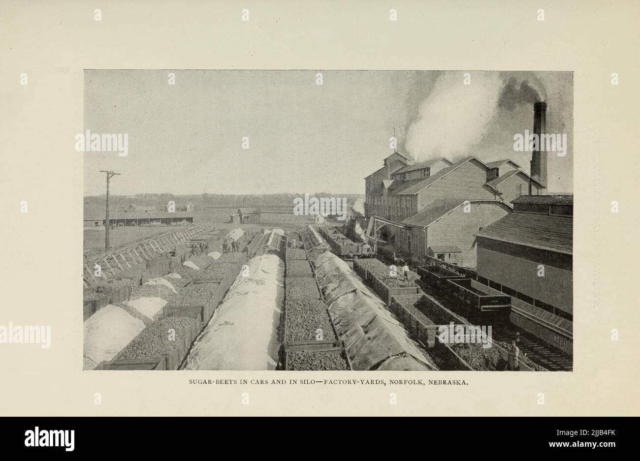 Sugar-Beets in Cars and in silo Factory Yard Norfolk, Nebraska da un articolo ' L'INDUSTRIA DELLA BARBABIETOLA-ZUCCHERO NEGLI STATI UNITI ' di Harvey W. Wiley. Dalla rivista Engineering Magazine DEDICATA AL PROGRESSO INDUSTRIALE Volume VII Aprile a Settembre, 1894 NEW YORK The Engineering Magazine Co Foto Stock