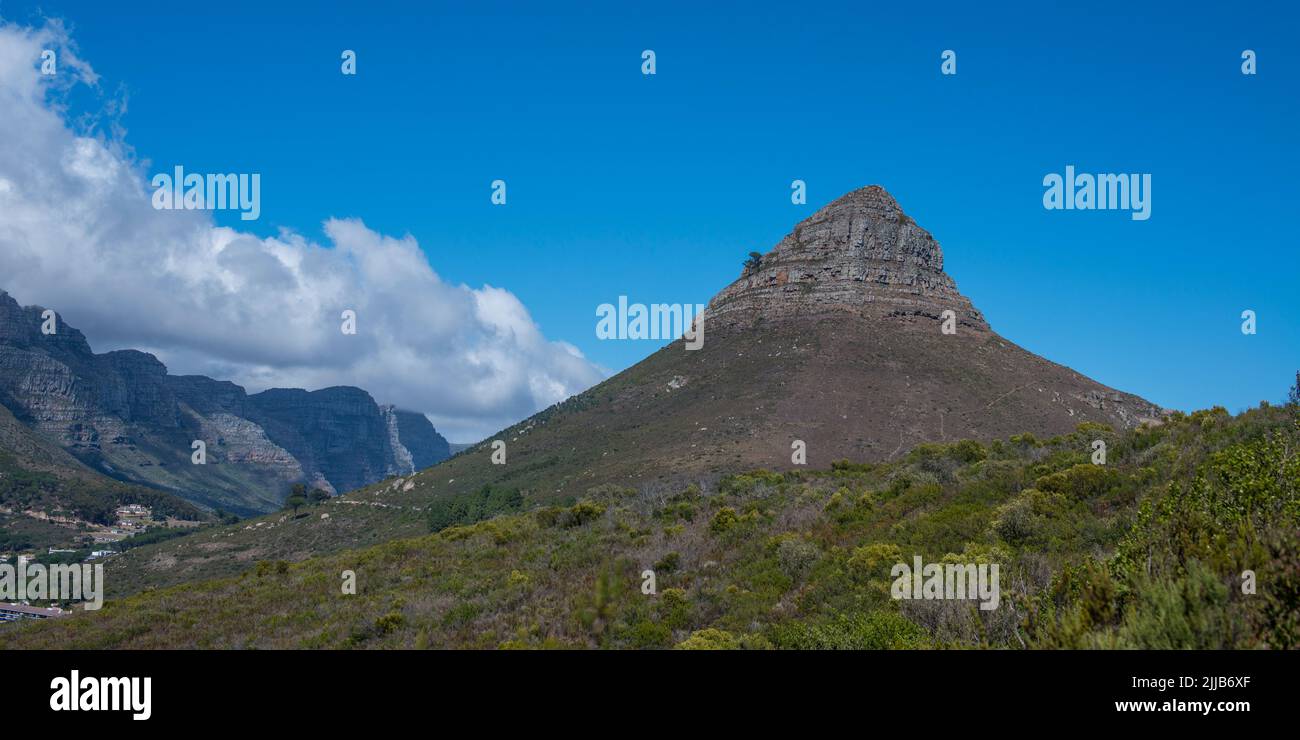 Testa di leone, Città del Capo Foto Stock