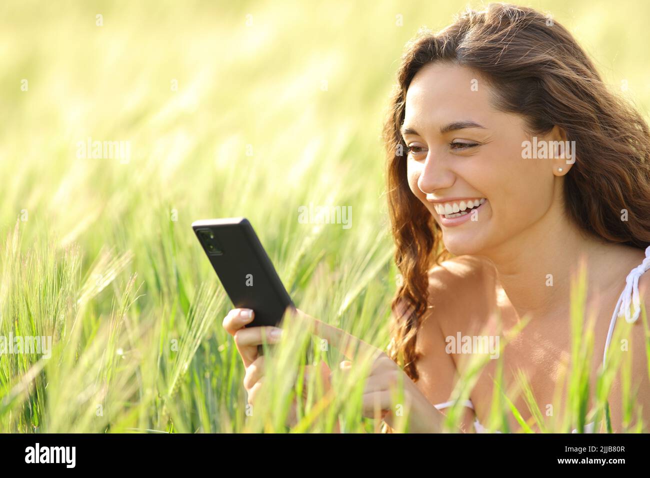 Donna felice che controlla il contenuto del telefono delle cellule in un campo di grano Foto Stock