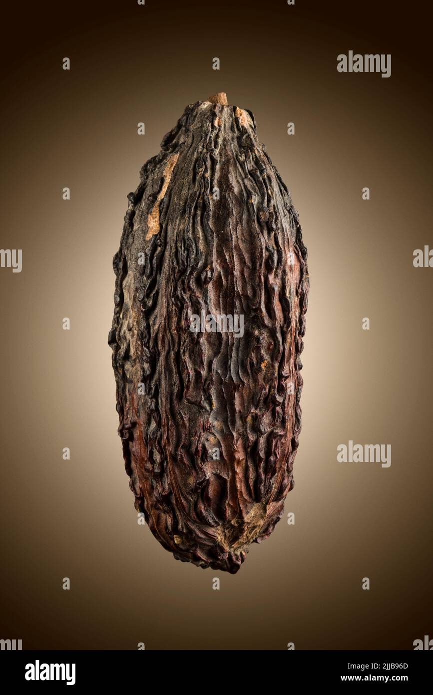 Cialda di cacao, primo piano su sfondo marrone. Foto Stock