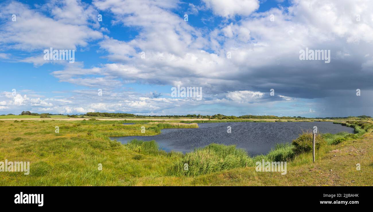 Tryeggnor Riserva Naturale e Santuario degli uccelli, Langeland, Danimarca Foto Stock