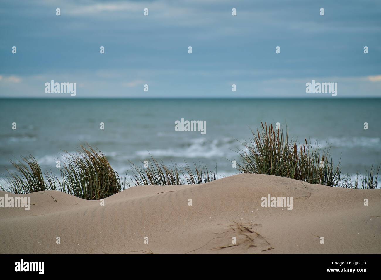 Dune sulla costa con il mare del nord sullo sfondo. Foto Stock