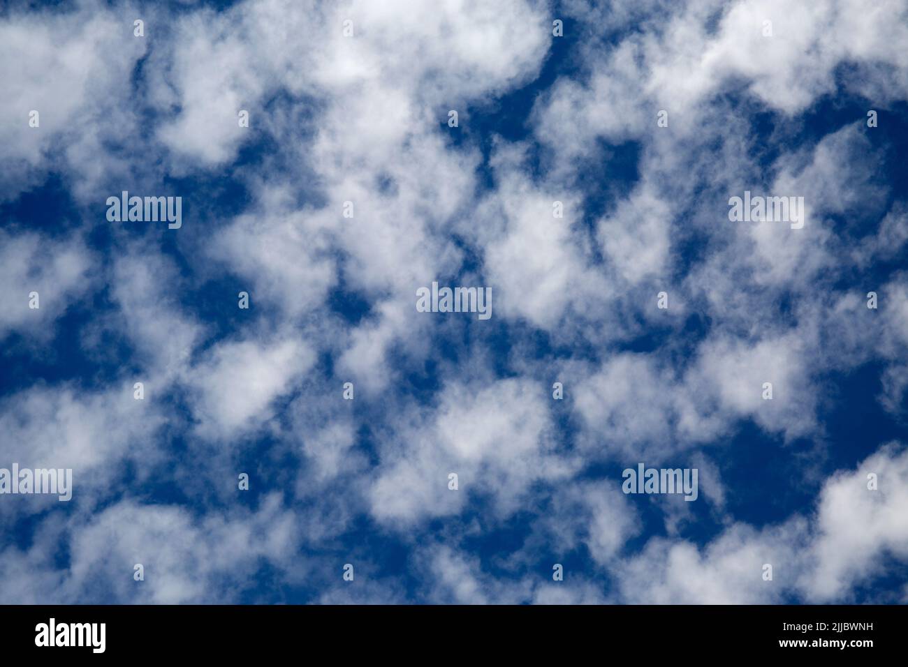 Altocumulus castellanus Meteo Nubi in Cielo Blu Foto Stock