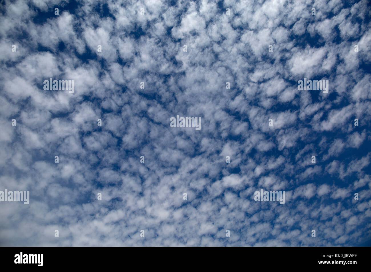 Altocumulus castellanus Meteo Nubi in Cielo Blu Foto Stock